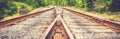 Faded golden brown diverging Railroad Tracks. Royalty Free Stock Photo