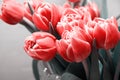 Faded image of elegant pink tulips in the glass vase