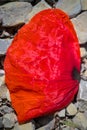 a faded leaf of a red poppie flat lay on a natural ground