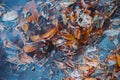 Faded leaves in a puddle on the dirty forest road. Autumn`s specific