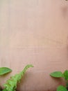 A faded orange wall with some weeds growing around it