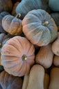 Faded pumpkins on top of white pumpkins Royalty Free Stock Photo