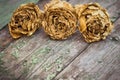 Faded roses on an old painted wooden background Royalty Free Stock Photo