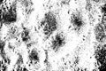Faded sandy texture, black and white vector abstraction. Beach sand grungy surface with animal steps