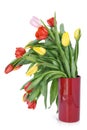 Faded spring tulips in red vase