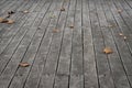 Faded Sycamore Leaves On Wooden Floor Tiles Royalty Free Stock Photo