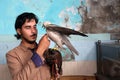 Palestinian man, loves to raise dangerous snakes and hawks at his home