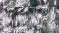 Fading Aluminium Foil with Green Color