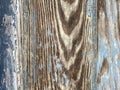 Fading faded blue painted wood board fence wall close view nature architectural design background