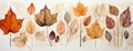 Fading Fall Foliage: Add an Elegant Touch to Your Space