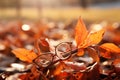 Fading foliage hints at vision loss, autumns melancholic perspective