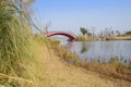 Fading grassy waterside before red arch bridge in sunny winter a Royalty Free Stock Photo