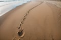 A fading trail of footprints in the sand leading to the water