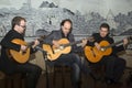 Fado - playing a traditional portuguese guitar