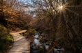 Faedo de Cinera Beech forest and river, wooden footbridge hiking trail Leon Spain Royalty Free Stock Photo