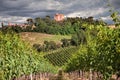 Faenza, Ravenna, Emilia Romagna, Italy: autumnal landscape at sunrise of the countryside with vineyards and the medieval tower