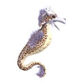 Faerie Fantasy Dragon Royalty Free Stock Photo