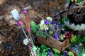 Faerie garden tools in faerie garden Royalty Free Stock Photo