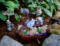 Faerie Schooner in Faerie Garden