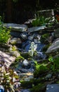 Faerie in a stream