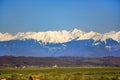 Fagaras mountain range with snow covered tops in romania.