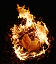 Fahrenheit 451 Ray Bradbury Royalty Free Stock Photo