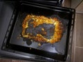 Failed cooking lasagna in stove fire