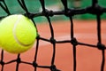Failure defeat concept - tennis ball in the net Royalty Free Stock Photo