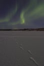 Faint aurora borealis over frozen lake