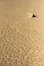 Faint Path In The Dry Mud Leads to Sailing Stone
