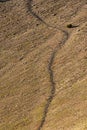 Faint Social Trail Up Lassen Peak Contributes to Erosion