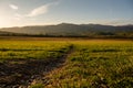 Faint Trail Cuts Across Grassy Field In Cades Cove