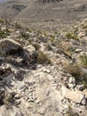 Faint Trail Heads Downhill Along Telephone Canyon