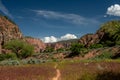 Faint Trail Through Hop Valley