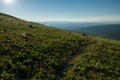 Faint Trail Of Mt Holmes Cuts Through Empty Meadow