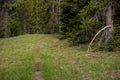 Faint Two Track Trail Cuts through Meadow on the PCT Through Crater Lake Royalty Free Stock Photo