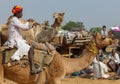 Fair of camels Pushkar