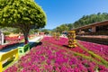 Fair of flowers and coffee main square view Panama