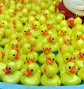 Yellow plastic ducklings fishing game