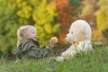 Fair-haired girl plays with large teddy bear sitting on grass on autumn forest background. Child with soft toy outdoors