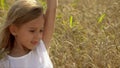 The fair-haired girl walks on a floor. wheat. The girl collects ears of gold wheat in a hand. Hands small girls close up