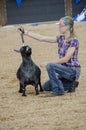 Fair Judging of Goat contest Royalty Free Stock Photo