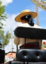 Fair of Seville, woman with hat on a horse carriage