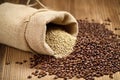 fair trade organic coffee beans spilling from a hemp sack