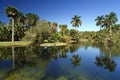 Fairchild Botanic Gardens Royalty Free Stock Photo