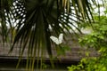 Fairchild Tropical Botanical Garden in South Miami, Florida