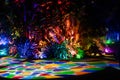 Fairchild Tropical Botanical Garden in South Miami: Night Garden, A Magical Light Fairy Lights Experience.