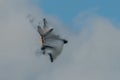 FAIRFORD, UK - JULY 10: F-22A Raptor Aircraft participates in the Royal International Air Tattoo Air show event July 10, 2016