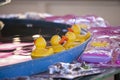 Fairground plastic ducks