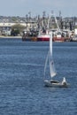 Man at helm of small sailboat in Fairhaven Royalty Free Stock Photo